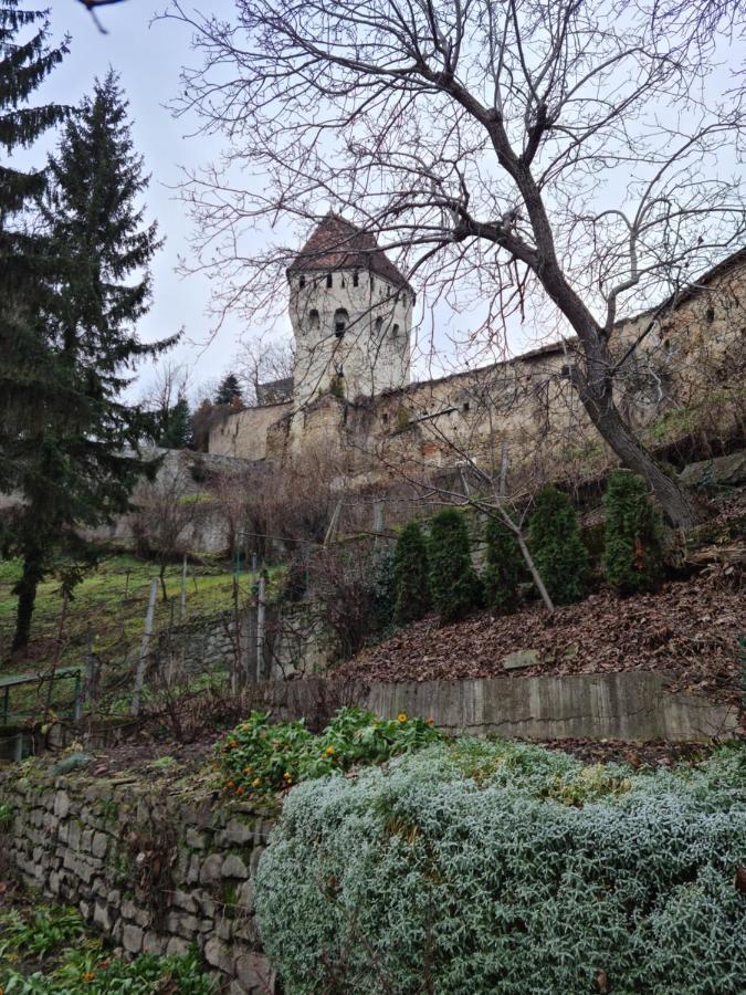 Stradela Cetatii Apartment Sighisoara Exterior photo