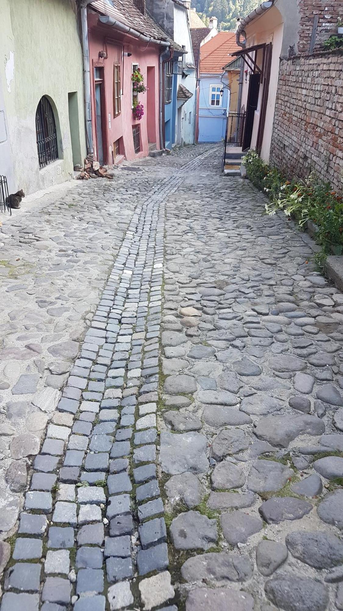 Stradela Cetatii Apartment Sighisoara Exterior photo